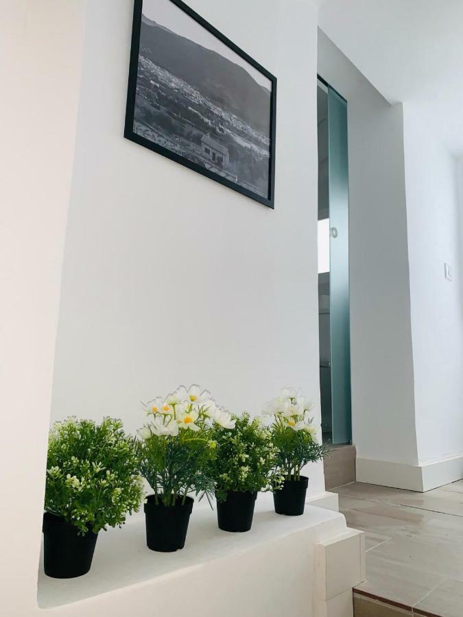 Vut- La Deliciosa Apartment Сотийо де ла Адрада Екстериор снимка